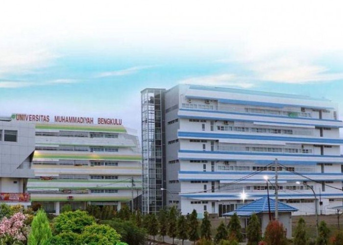 Perluas Akses Pendidikan Kesehatan , Universitas Muhammadiyah Bengkulu akan Buka Empat Prodi Baru