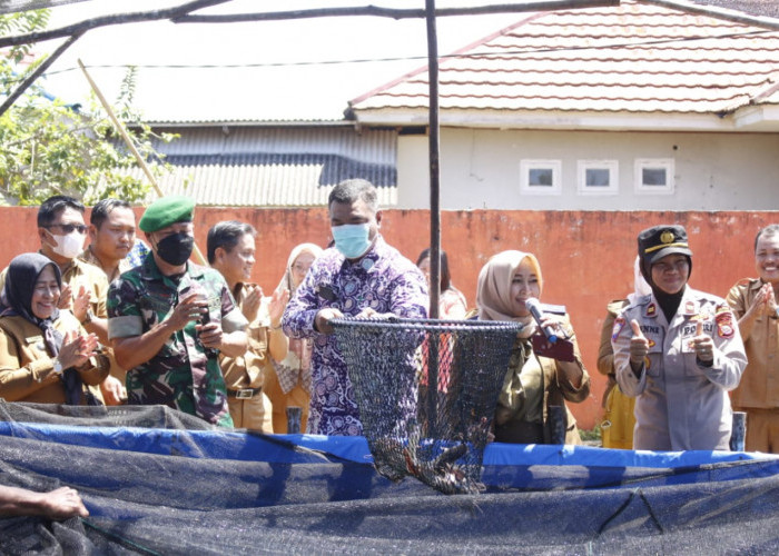  PJ Bupati Benteng Panen  Ikan Lele di  Nakau