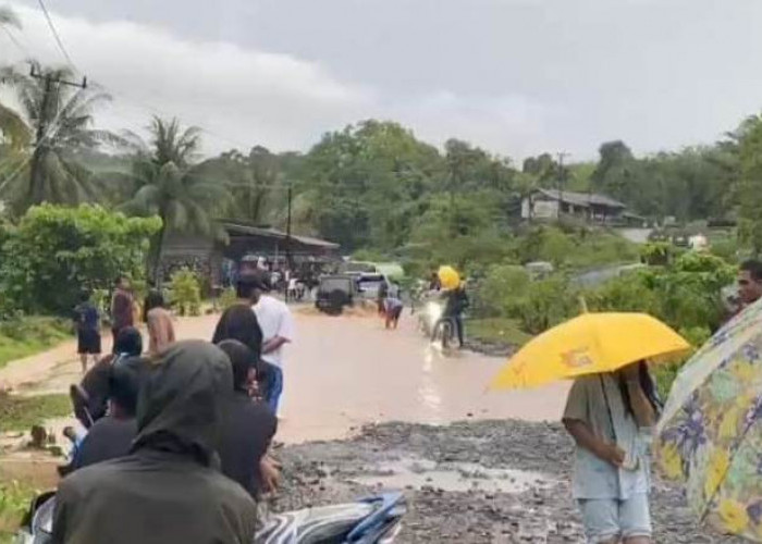 Hati-Hati, Hujan dengan Intensitas Tinggi Rendam Jalan Lintas di Bengkulu Tengah