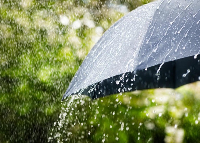 BMKG : Cuaca Hari Ini 8 Oktober 2023, Bengkulu, Medan, Jambi dan Lampung Hujan