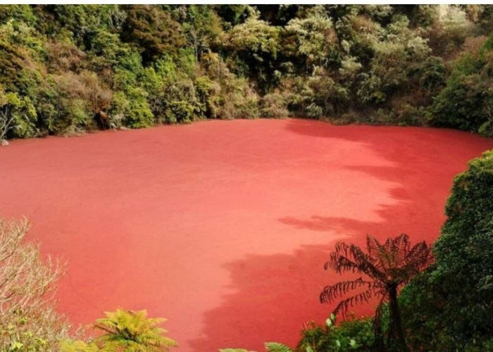 Konon Ada Kaitannya Dengan Kerajaan Palembang, Danau Berbatasan Dengan Sumsel Ini Recommed Bagi Fansnya Uji Ad