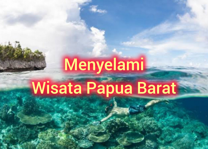 4 Wisata di Papua Barat yang Belum Kamu Ketahui, Apa Saja? yuk Menyelam