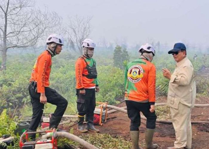 Presiden Prabowo Subianto Perintahkan Tindak Tegas Pelaku Pembakaran Hutan