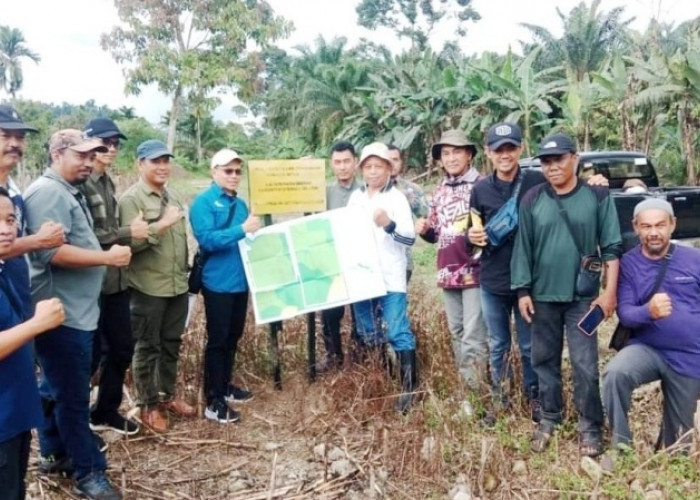 Tapal Batas Hutan Bengkulu Selatan Dicek Balai Pemantapan Kawasan Hutan Kemenhut RI 