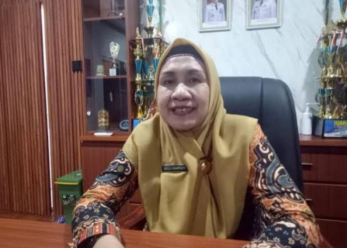 Dinas Kesehatan  Ajak  Masyarakat  Lebih Waspada Terhadap Nyamuk DBD