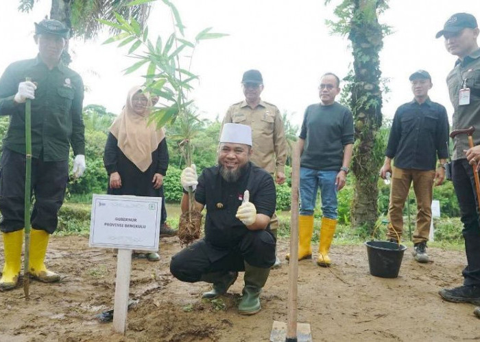Launching Penanaman 49.280 Bibit Pohon, Helmi Hasan: Laporkan Jika Ada Sawit di Pinggir Sungai!