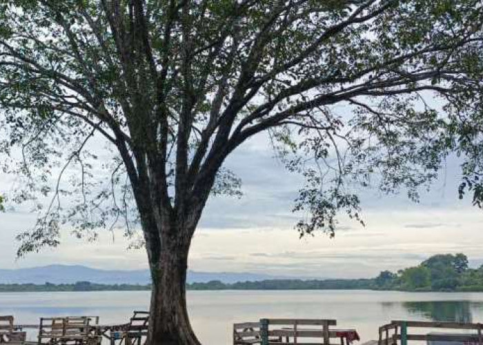 Beri Kenyamanan, Danau Dendam Tak Sudah Bengkulu Tetap Ramai Dikunjungi Warga