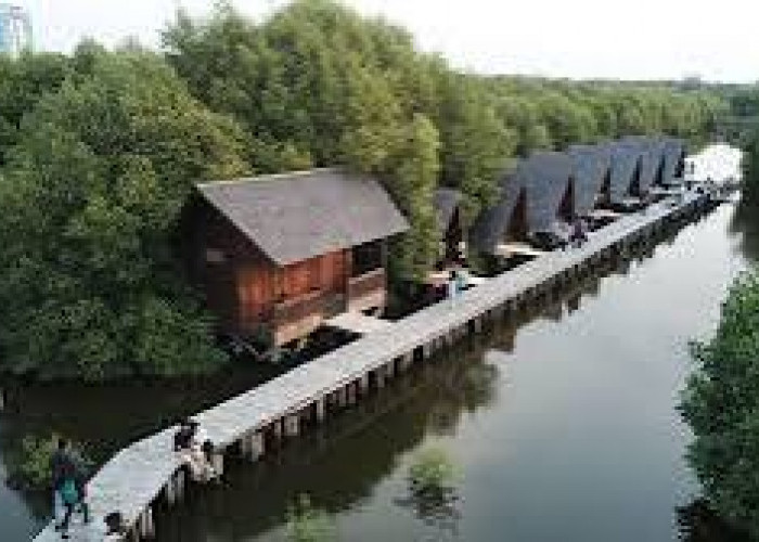 Taman Wisata Mangrove Angke Kapuk terletak di Jl. Kamal Muara Garden House, District. Penjaringan, Jakut