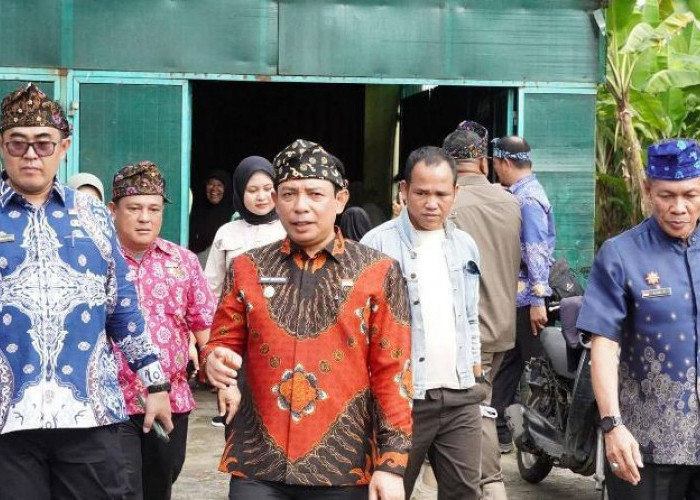 Pemkot Bengkulu Inisiasi Program Budidaya Maggot dan Lele untuk Atasi Sampah