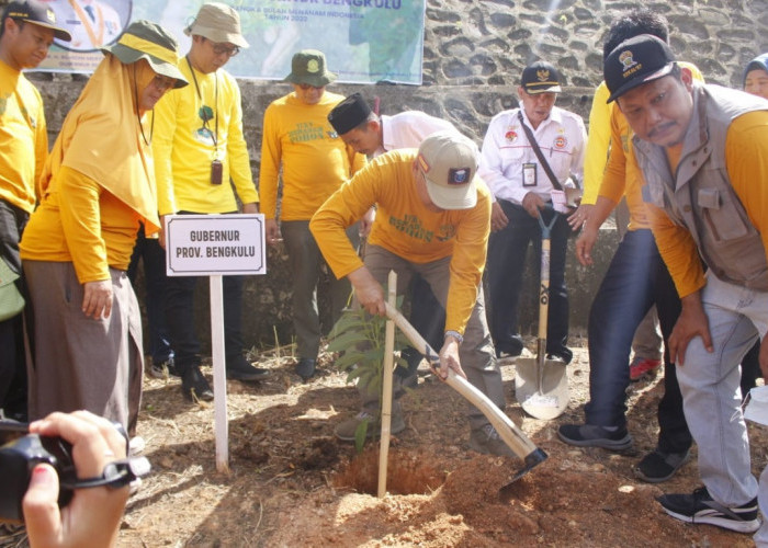 Gubernur Bengkulu Tanam Pohon di Desa Penum