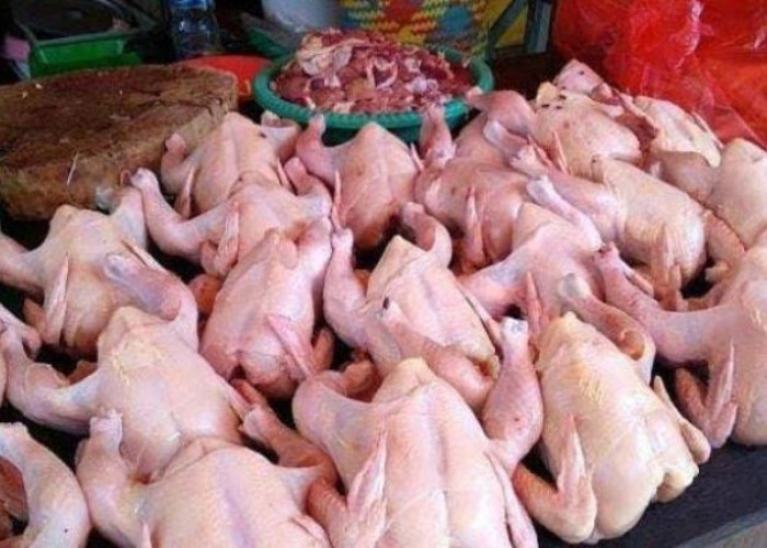 Harga Daging Ayam di Pasar Purwodadi Arga Makmur Masih Tinggi