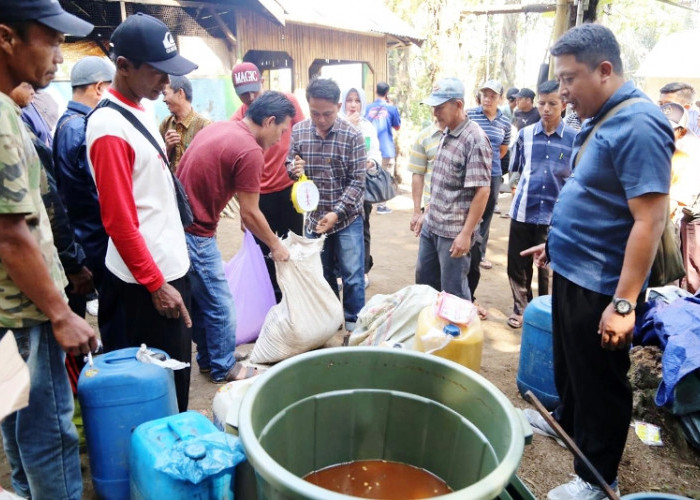 Bank Indonesia Bengkulu Libatkan 65 Kelompok Petani Aren Fasilitasi Pelatihan Limbah Gula Aren Menjadi Pupuk 
