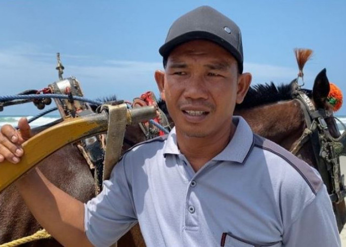 Alat  Transportasi Tradisional Delman Masih Banyak Diminati Pecinta Dunia Pariwisata Bengkulu