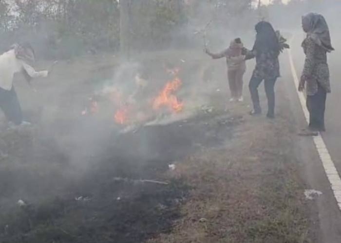 Heboh, Aksi Emak-Emak Berjibaku Padamkan Api yang Nyaris Melahap Aspal Jalan Nasional