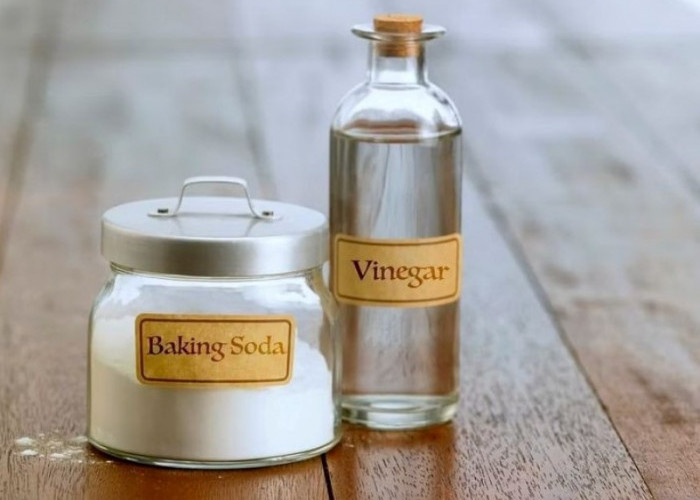 Ini  Cara Alami Menghilangkan Bau Saluran Air di Kamar Mandi