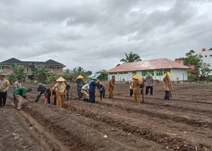 150 Hektar Lahan Masyarakat Siap Ditanami Jagung, Masih Terus Bertambah