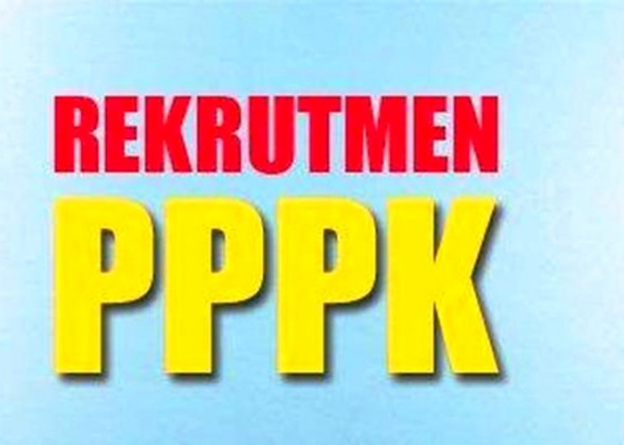 143 Pendaftar PPPK yang Tidak Memenuhi Syarat Bisa Mengajukan Sanggahan Hingga 21 Oktober 2023