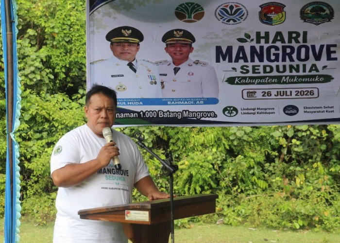 Penanaman 1.000 Batang Pohon Manggrove di Mukomuko Dapat Apresiasi dari Bupati Choirul Huda