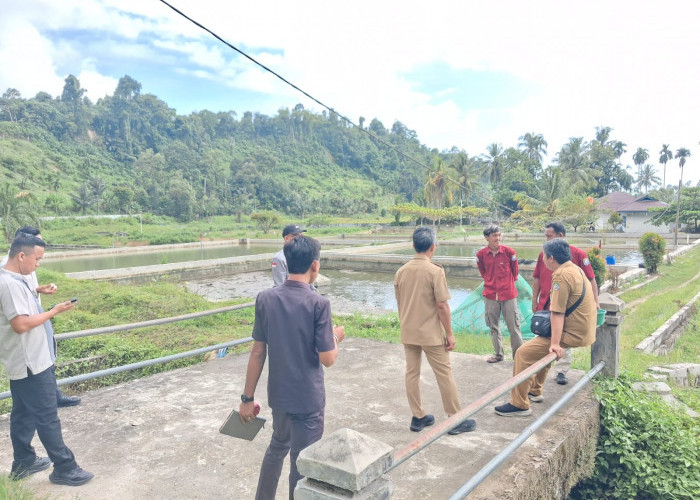 Wabup Kaur Inspeksi ke BBI Nasal, Cek Fasilitas Budidaya Perikanan