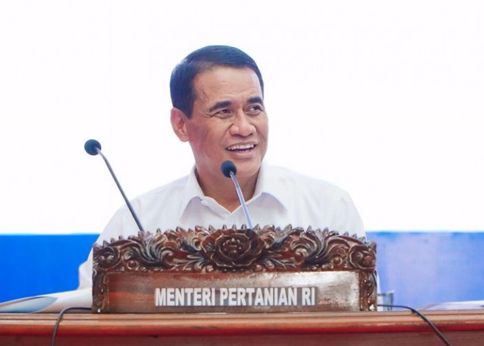 Andi Amran Sulaiman: Stok Pangan Nasional Aman