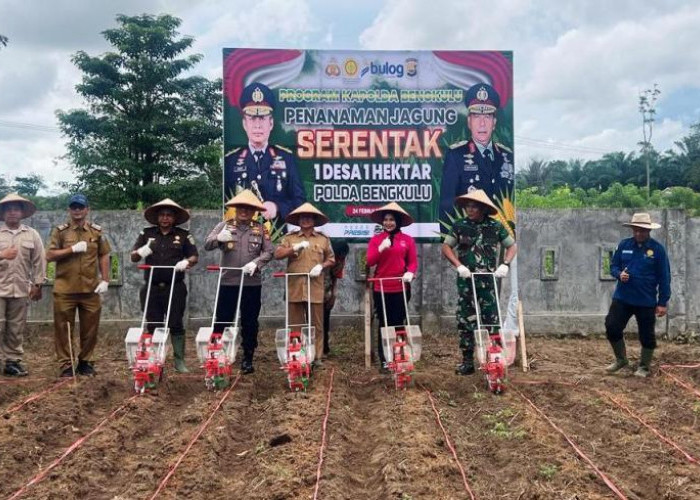 Polres Kaur Lakukan Tanam Jagung Serentak 