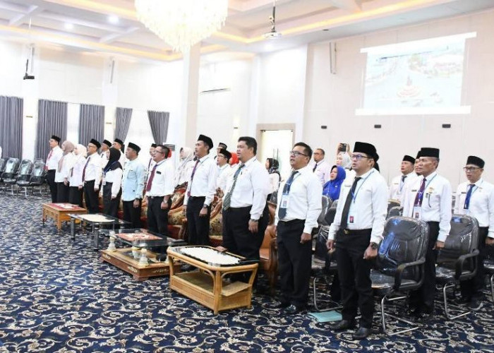 Puluhan Nama Dinyatakan Lulus, Pansel Umumkan Hasil Administrasi JPT Pratama Kota Bengkulu 2026