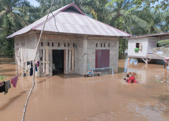 Sawah dan Rumah Warga Gunung Payung Terendam Banjir