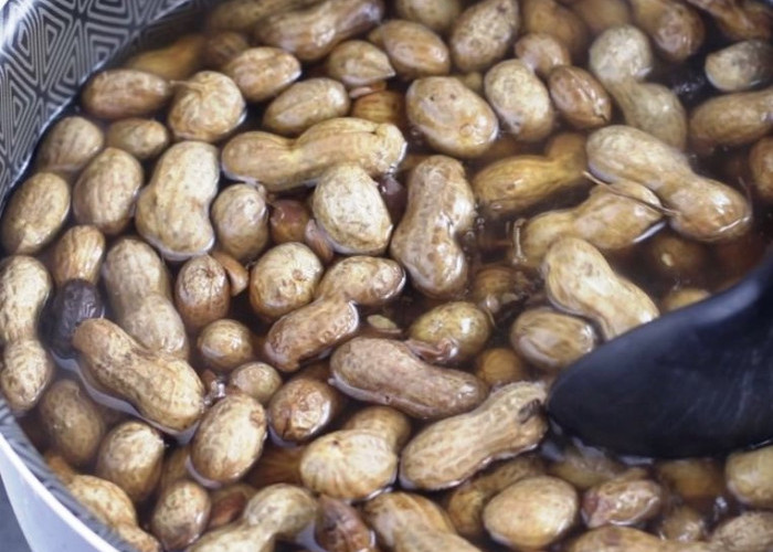 Konsumsi Kacang Tanah Bermanfaat untuk Ibu Hamil