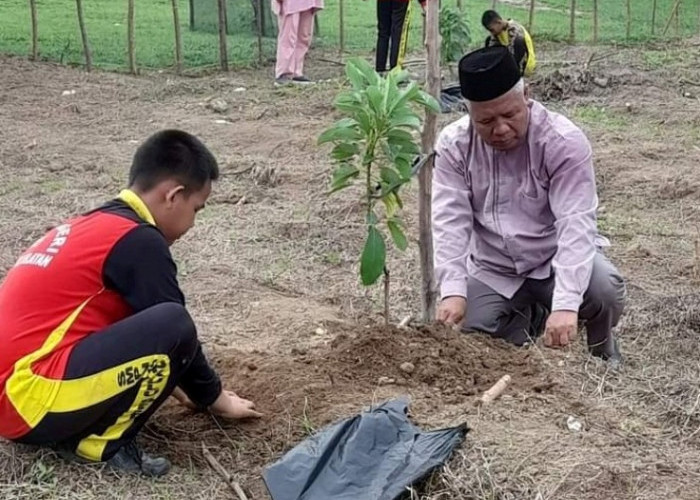 Tanam Pohon, SMPN 15 Bengkulu Selatan Dukung Program Sekolah Adiwiyata