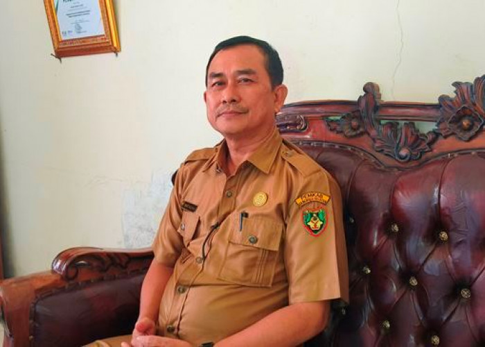 Kebutuhan Daging Kurban di Bengkulu Selatan Aman, Bisa Dijual Keluar Daerah