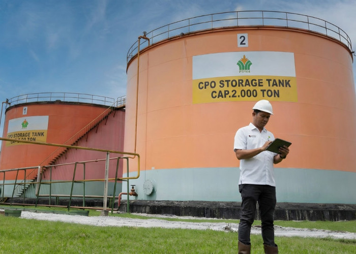 Pengusaha Sawit dan Batu Bara RI Raup Untung Besar