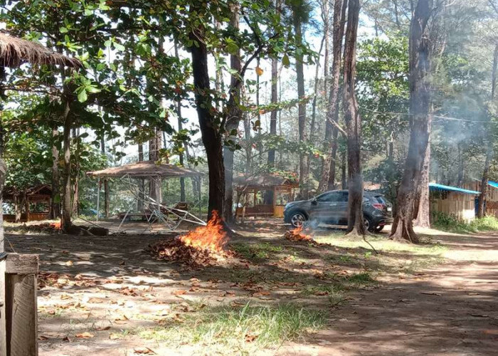 Disayangkan, Pengunjung Pantai Panjang Bengkulu Keluhkan Asap Pembakaran Sampah 