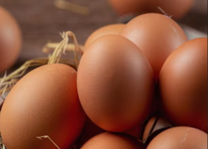 Telur Ayam Sulit Didapatkan, Emak-Emak Mengeluh 