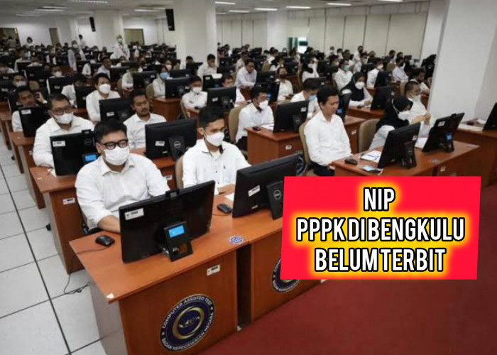 Untuk 678 PPPK Tahun 2023 di Bengkulu yang Menanti NIP, Ini Penjelasan Sekdaprov
