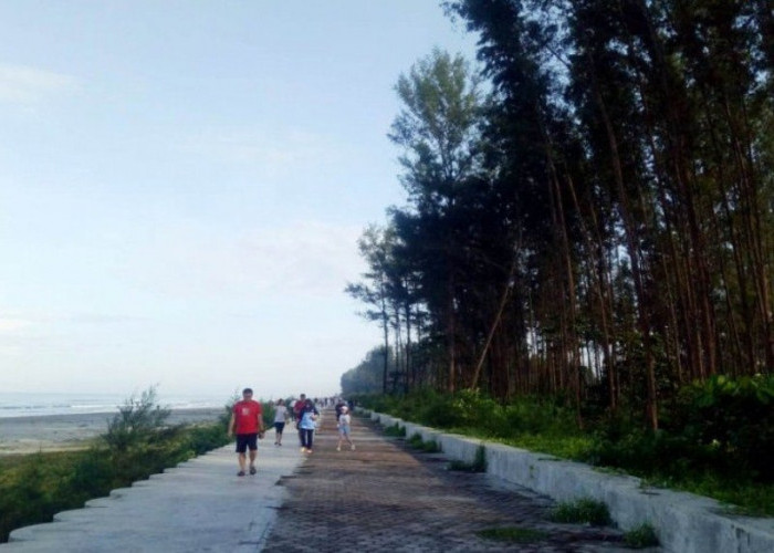 Pantai Pasir Putih Bengkulu Disulap Menjadi Area Jogging Track yang Representatif 