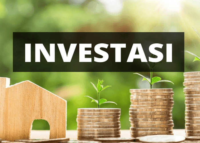 Mulai dari Nol, Ini Panduan Edukasi Investasi untuk Investor Pemula agar Tak Salah Langkah