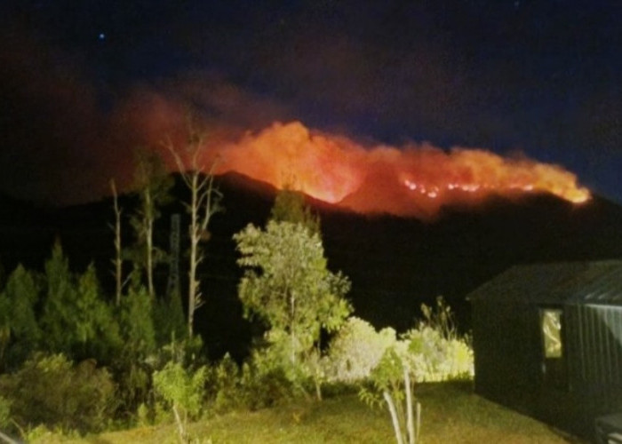 Lima Gunung di Jawa Timur Terbakar, Kebakaran Hutan Makin Meluas
