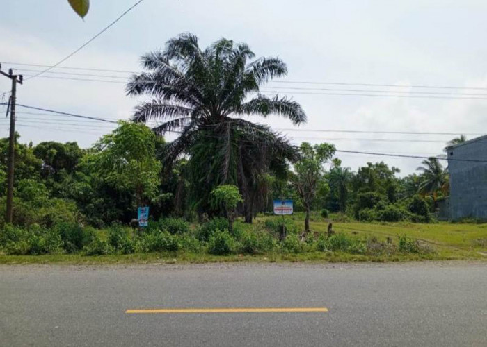  Jembatan Timbang di Desa   Sukamenanti Kaur Dibangun Tahun 2026, Saat Ini Sedang Proses Perencanaan