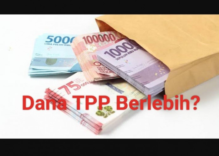 Anggaran TPP Pemkab Mukomuko Tahun 2022 Diduga Berlebih 