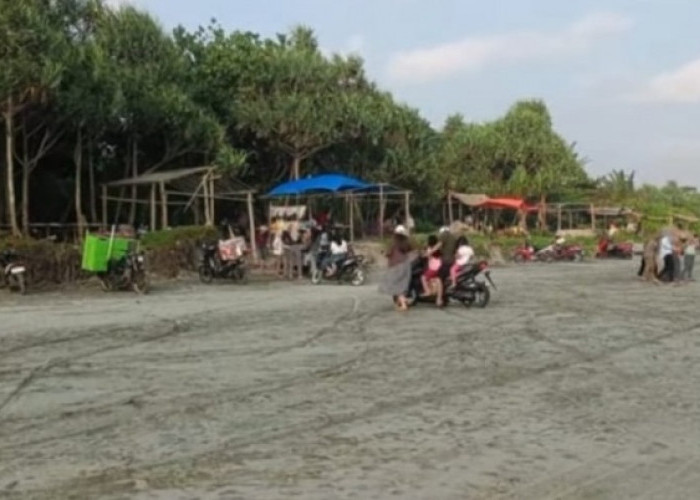 Kades Imbau Pengunjung  Pantai Pasar Seluma Waspada dengan Ubur- Ubur 