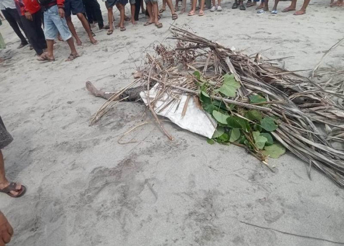 Setelah Tenggelam di Laut Batu Lungun,  Pemuda Sukajaya Ditemukan Meninggal 