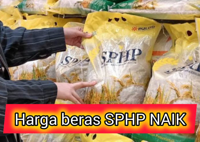 Disperindag Provinsi Bengkulu Jelaskan Penyebab Harga Beras SPHP Naik