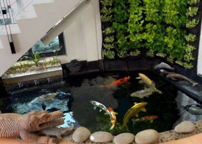 Ini Cara Membuat  Kolam Ikan Minimalis di Bawah Tangga 