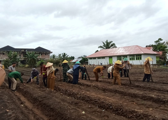 Target Tanam Jagung Semestinya Dibarengi dengan Target Produksi