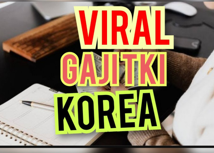 Berita Viral! Pekerja Indonesia di Korea Ungkap Gajinya, Bikin Netizen Heboh