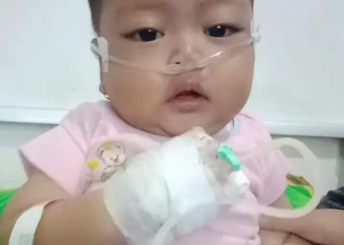 Kasihan, Bayi 8 Bulan Bolak Balik Masuk Rumah Sakit