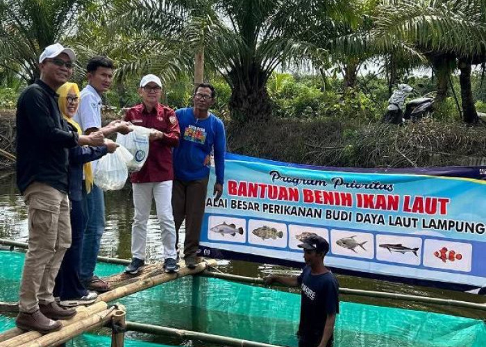 Bibit Ikan Kakap Putih Disebar 80.000 Ekor di  Desa Kungkai Jaya