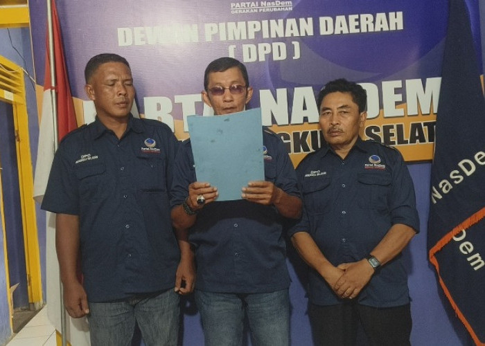 Juli Hartono: NasDem Senantiasa Menjunjung Tinggi dan Menghormati Kebebasan Pers