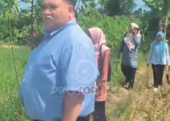 Tinjau Tebat Baghu yang Kekeringan, Bupati Bengkulu Selatan  Segera Lakukan Revitalisasi 