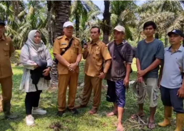 Begini  Langkah Awal Untuk Cegah Penyakit  Ngorok pada Hewan Ternak